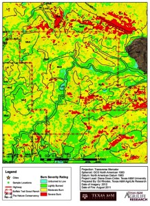 A burn severity map shows the degree of burn damage in the region. (Texas A&M AgriLife photo)