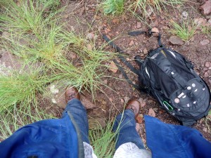 While creating the index, those in the field document the regrowth of vegetation on the ground. (Texas A&M AgriLife Research photo by Dr. Diana Doan-Crider)