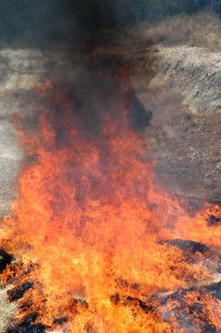 Increased legal liabilities may be limiting prescribed fire use for brush control, according to a Texas A&M AgriLife Research study. (Texas A&M AgriLIfe Communications photo by Kay Ledbetter)