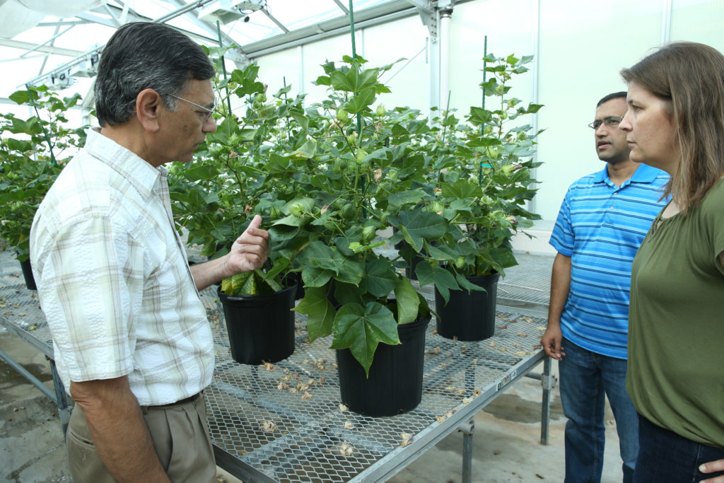 Dr. Keerti Rathore speaking to two other researchers in front of a table with plants on it