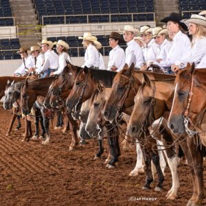 county expo