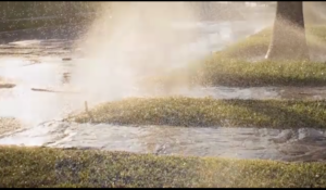 WaterSmart