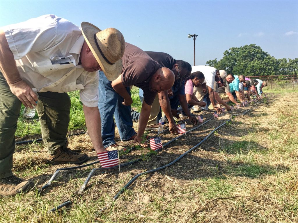 Veterans planting small U.S. flags in ground