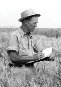 A young man in a wheat field.He is wearing a hat and is writing in a notebook.