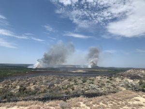 Game Ranch wildfire