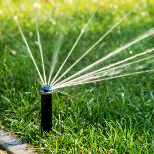 Sprinkler head watering