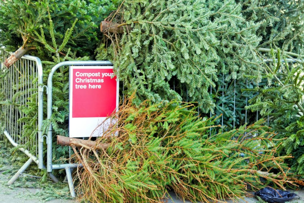 Christmas tree removal and composting site
