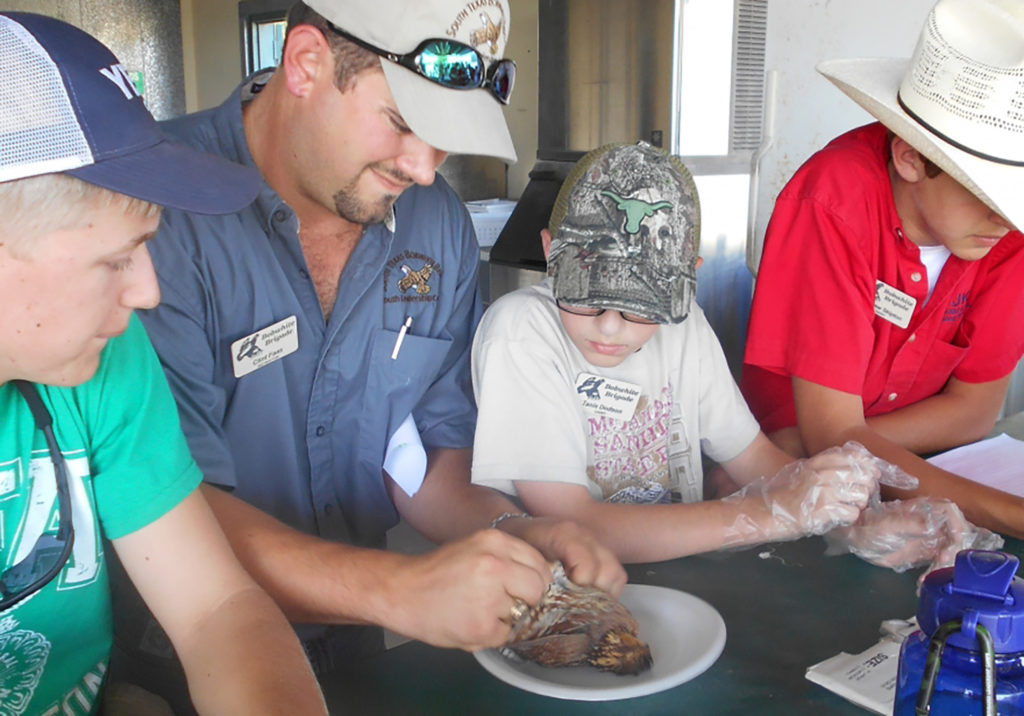 Three youth surround a camp leader who is performing a necropsy on a quail at a Texas Brigades camp.