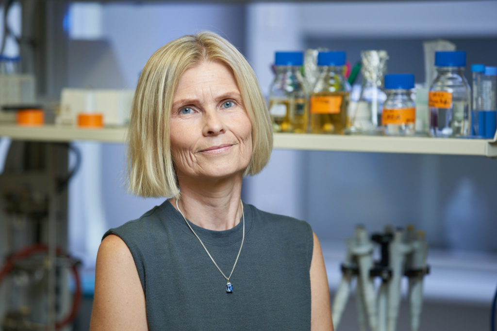 Dr. Cecilia Tommos in a laboratory setting where she conducts amino-acid radicals study.