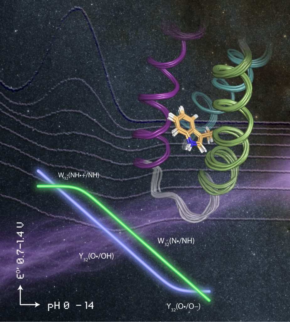 Texas A&M AgriLife graphic representing the type of data used as a foundation for model protein system.