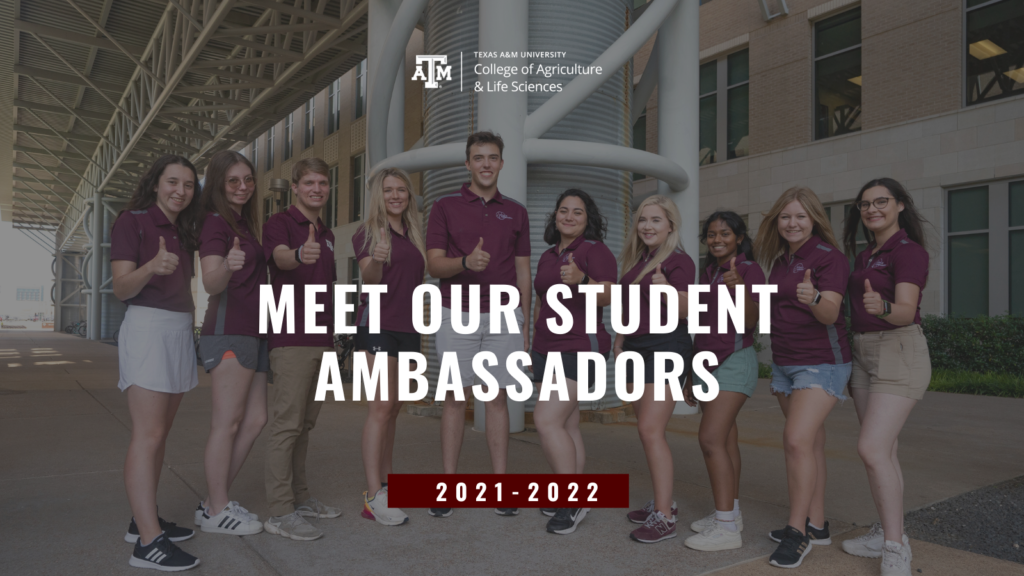 graphic of AGLS Student Ambassadors Group