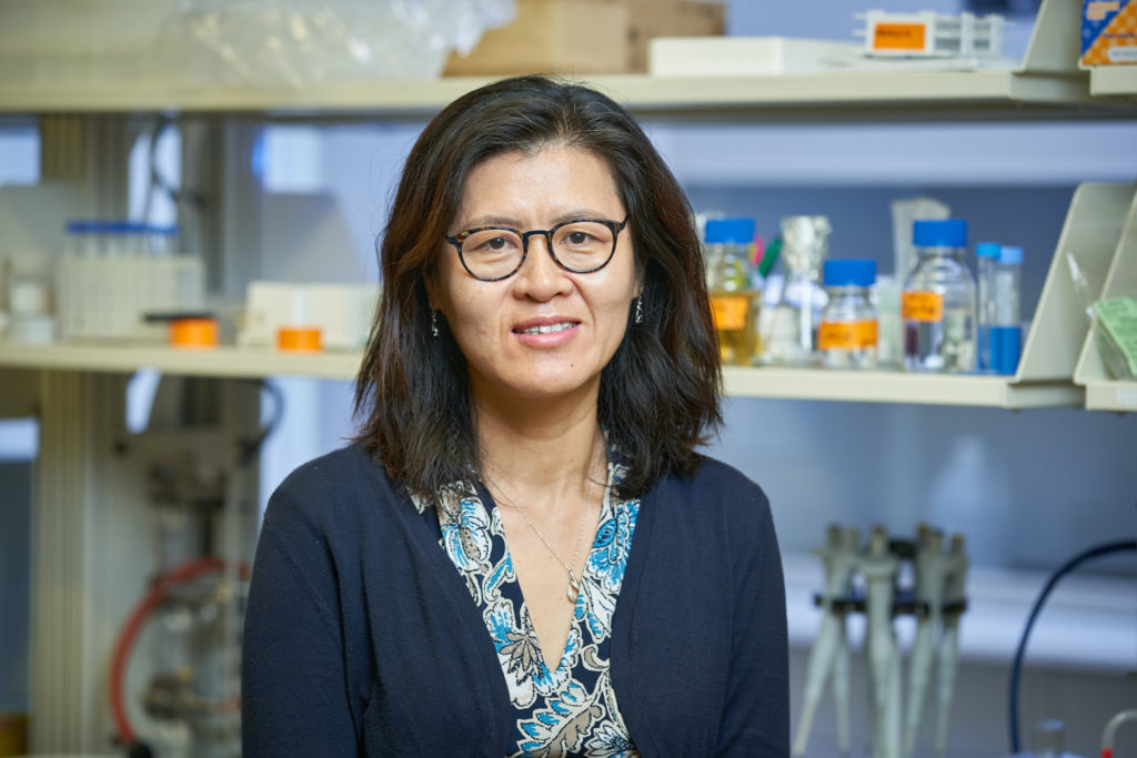 A woman, Libo Shan, standing in the lab