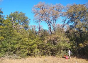 Geoscience student Chelsea Parada sets up a probe to read soil moisture measurements along a woody thicket. 