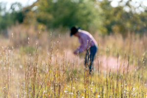 A rancher in the background with tall grasses in the foreground.