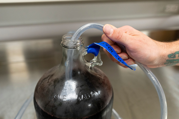 A student's hand placing a hose in a glass 1-gallon jug of wine that is labeled.