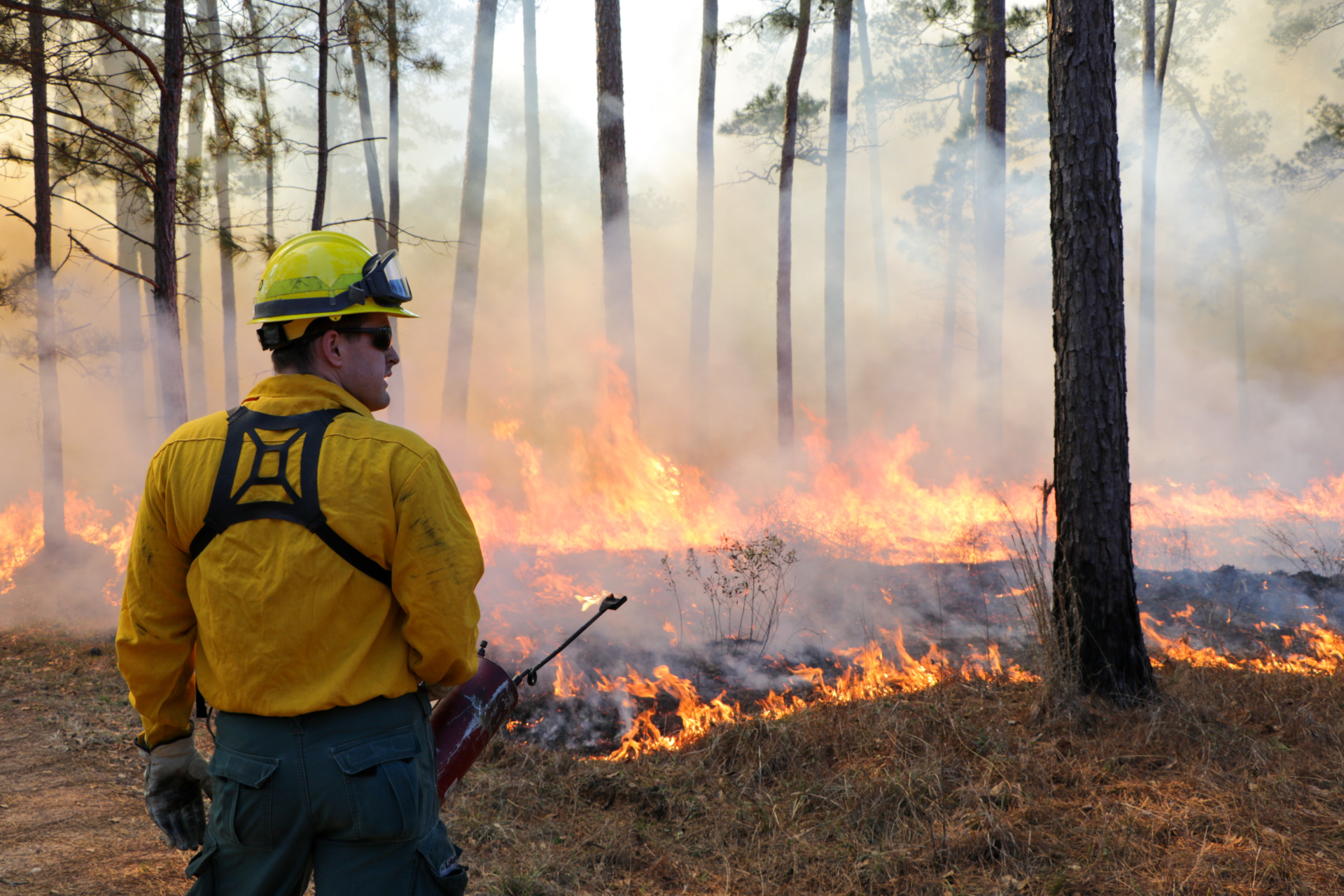 Prescribed fire grant applications for Texas Plains region now open