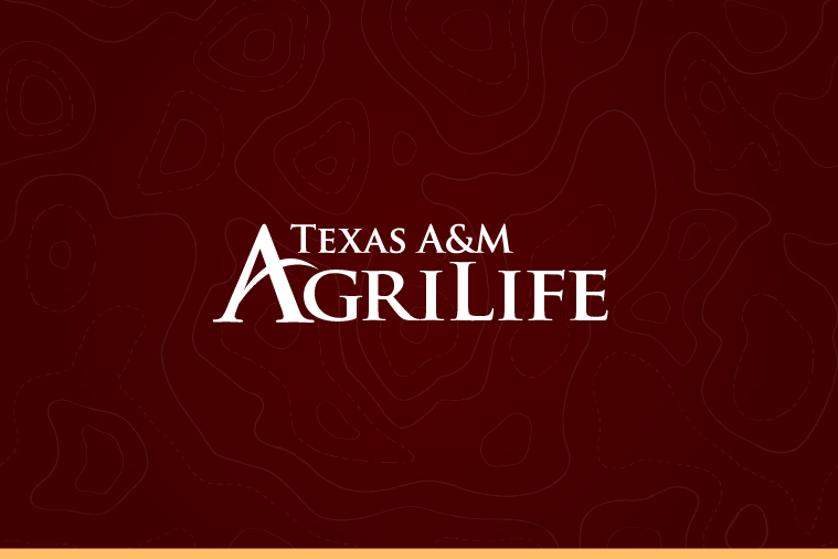 Department of Agricultural Economics adds to roster of experienced professionals