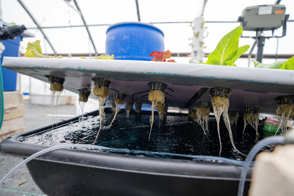 The underside of an aquaponics unit.