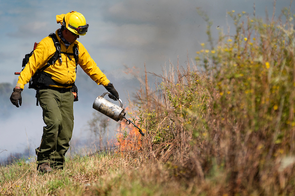 AgriLife Extension to host prescribed burn school July 22-24 in San Angelo