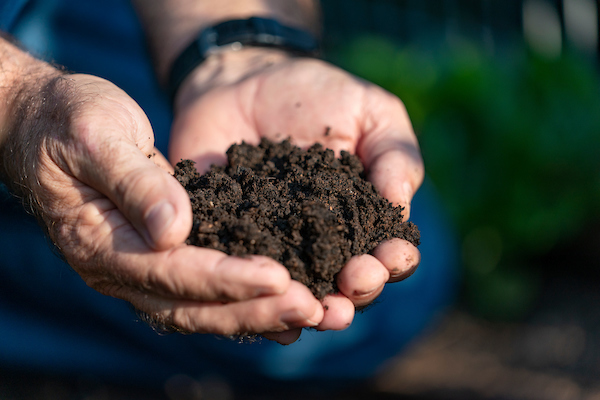 A pair of hands filled with brown soil