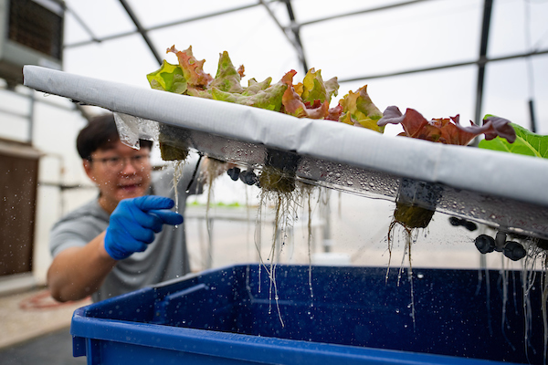 Research steers Winter Garden toward sustainable horticulture