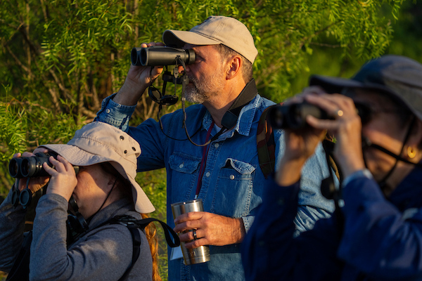A group of birdwatchers using binoculars.