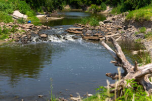A flowing creek with rocks and brush on both sides