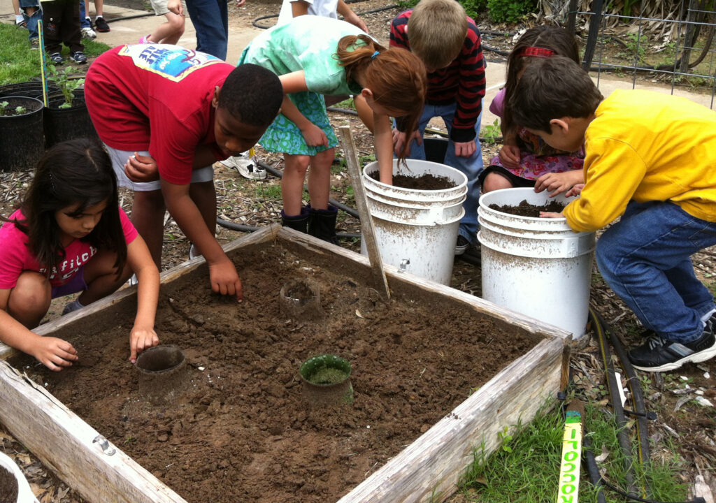 Children planting on a raised soil bed. 
