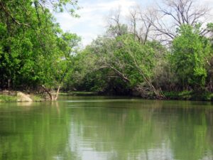 A river flowing through tree-lined banks.