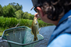 A man holds a bass above a net.