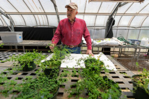 a man stands behind a table full of potted forage plants