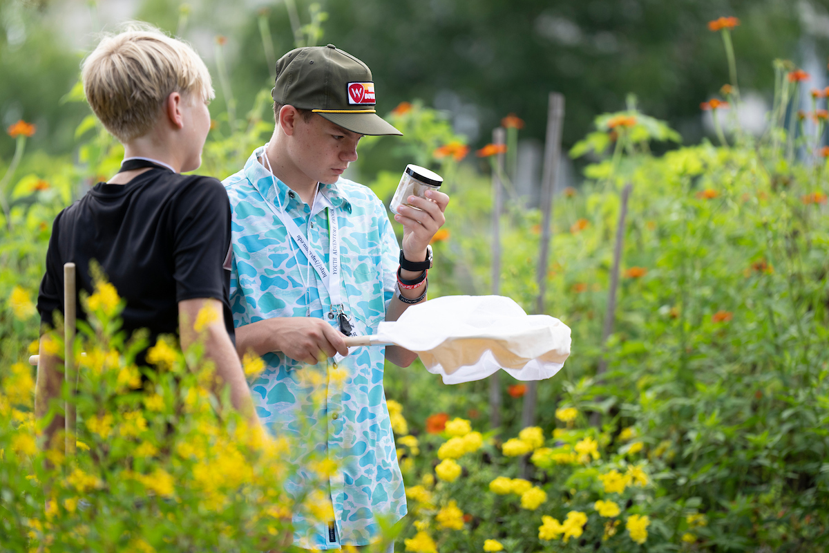 Two students capturing insects with an insect net.