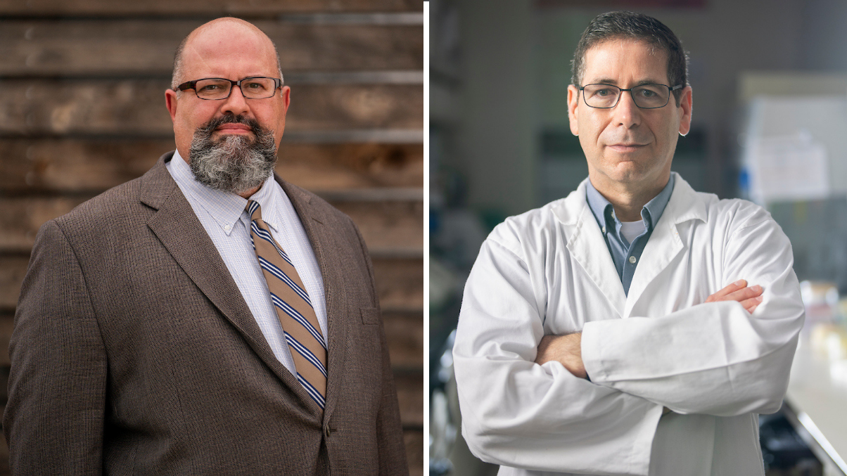 Texas A&M AgriLife experts draw on past success to tackle screwworm