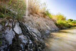a natural spring along a rocky, grass covered bank