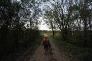 A bowhunter walks down a path surrounded by trees.