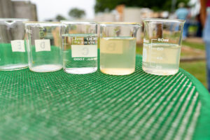 A line of beakers filled with water samples