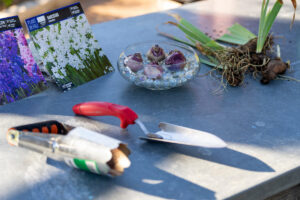 A table with flower bulbs and planting tools.