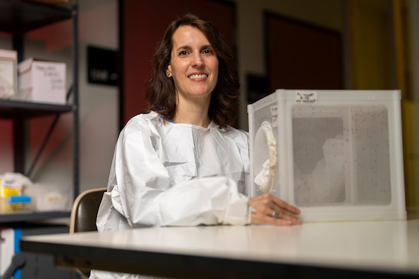 Cracking the code of mosquito-borne disease outbreaks