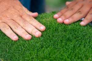 A pair of hands touching turf grass
