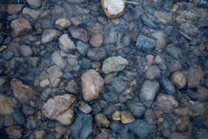 A creek with rocks.