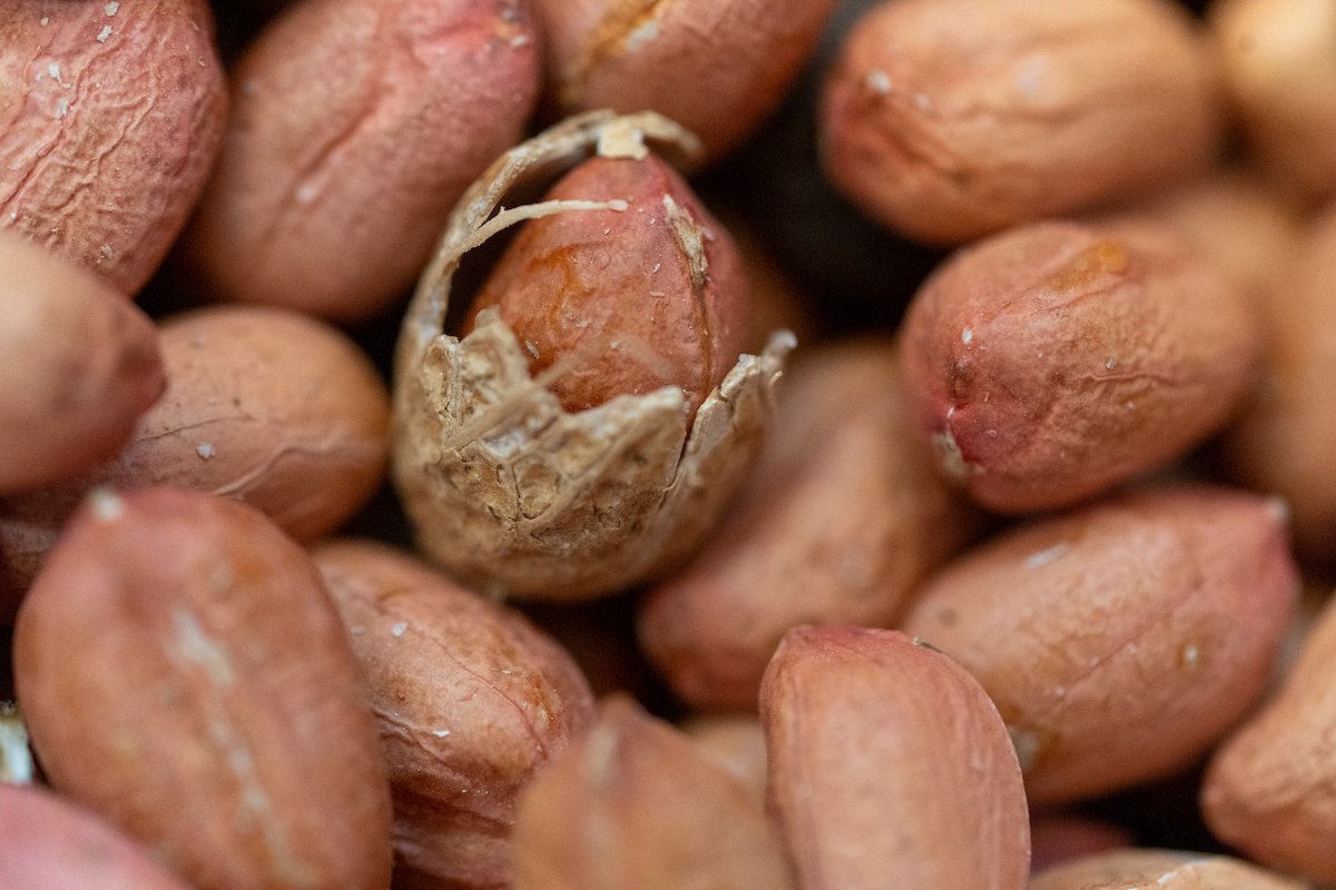 Moisture, low row-crop prices prompt possible record Texas peanut production
