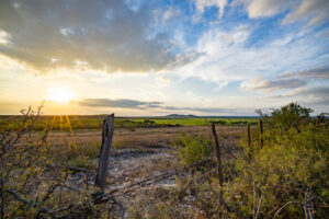 Sunset on farmland
