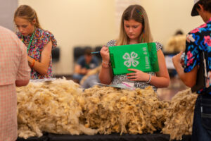 A student participating in wool judging