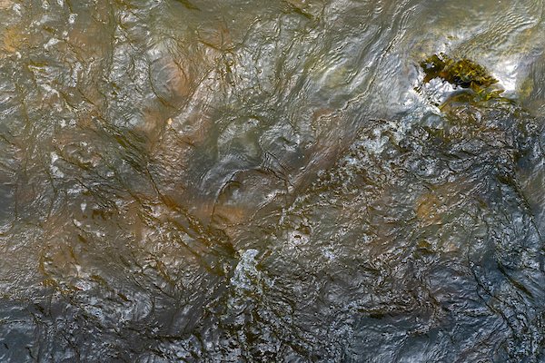 Riparian and stream ecosystem workshop set for Nov. 11 in Granbury – AgriLife Today