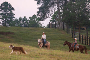 A man and young boy ride horses across a field accompanied by a dog.