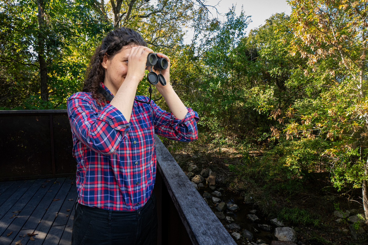 Listening to nature, one bird call at a time