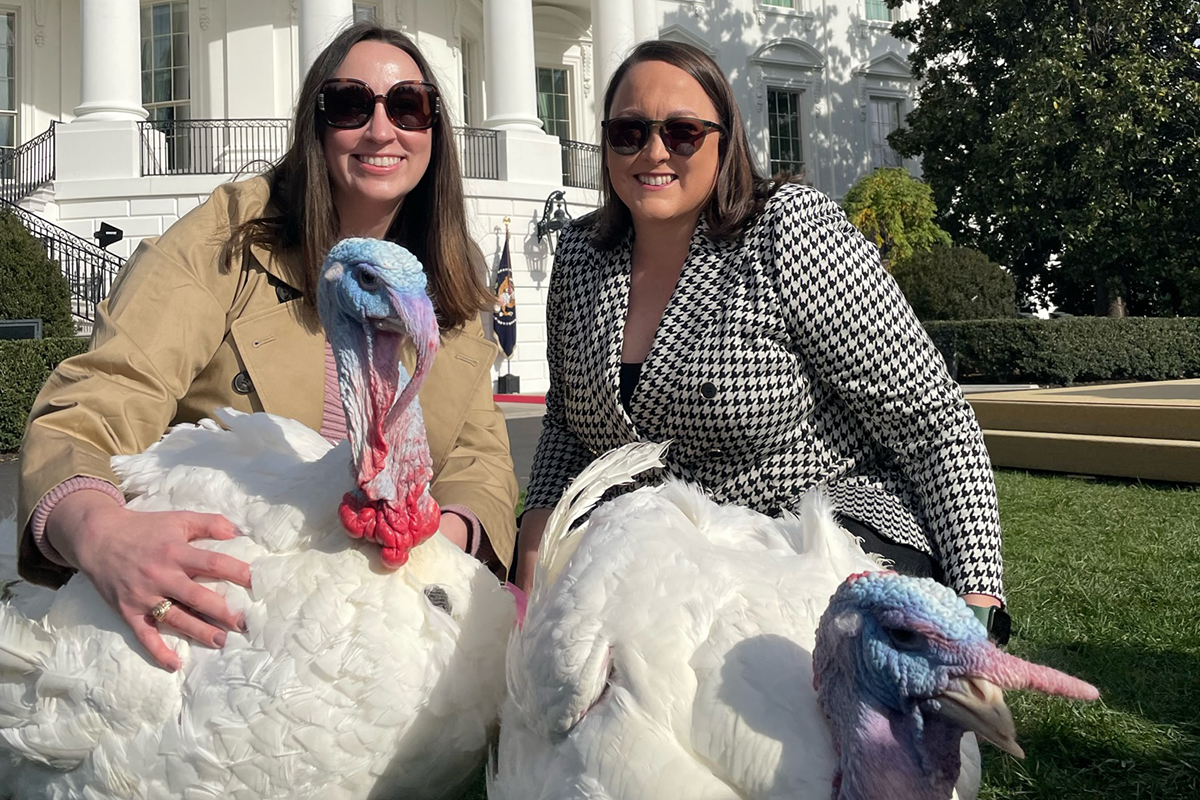 Texas Aggies lead the nation’s turkey industry into the future